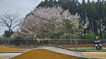 Click the picture for larger photo!